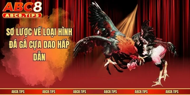Sơ lược về loại hình đá gà cựa dao hấp dẫn